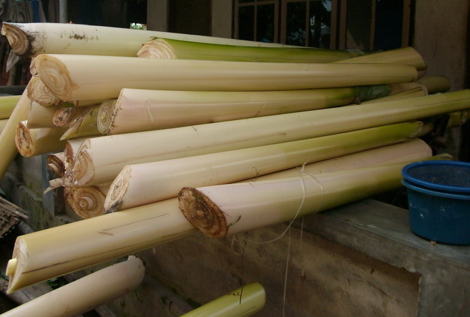  kertas  dari  batang pohon  pisang metode emil heuser 